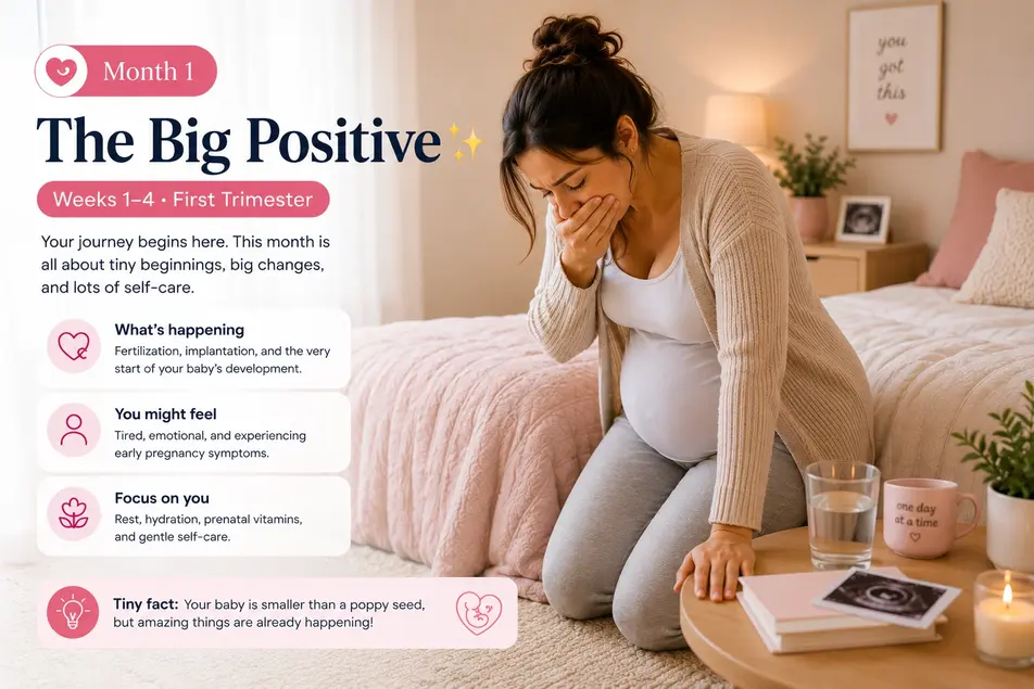 Pregnancy infographic showing a smiling pregnant woman holding her baby bump in a warm pastel room during the first trimester.