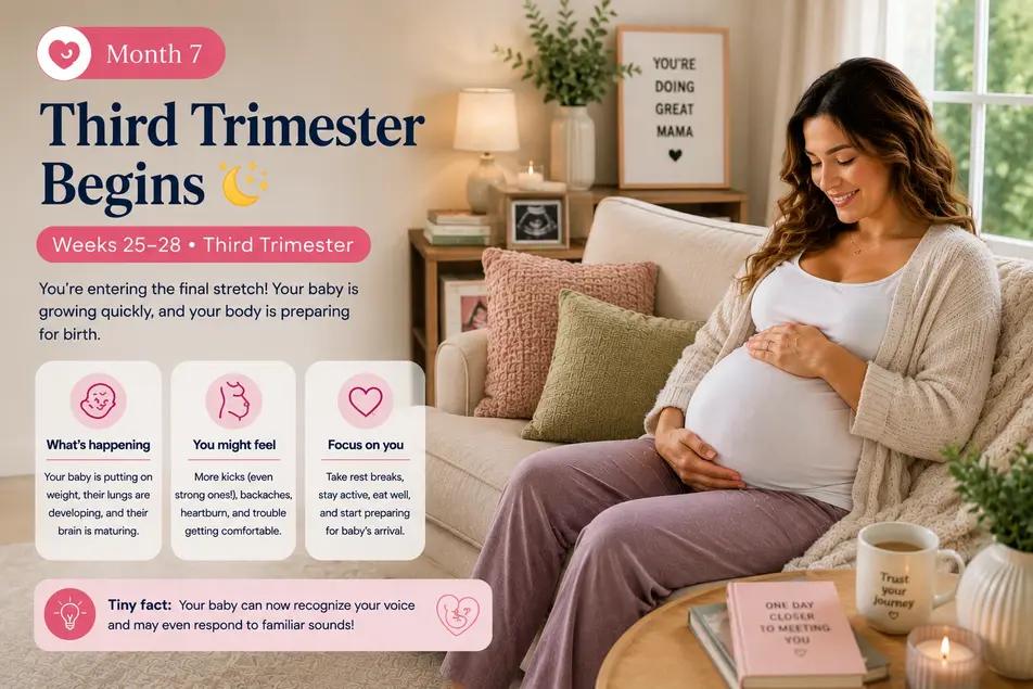 Pregnancy infographic of a smiling mother entering the third trimester during weeks 25–28 in a warm cozy setting.