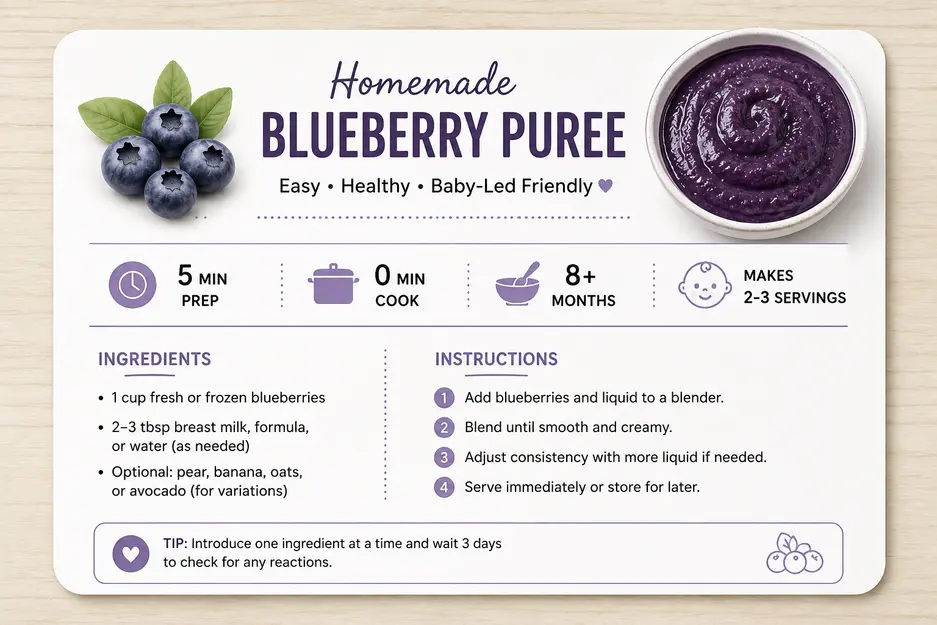 Recipe card for homemade blueberry puree for baby with prep time, cook time, ingredients, and serving details.